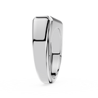Silver ring on a white background